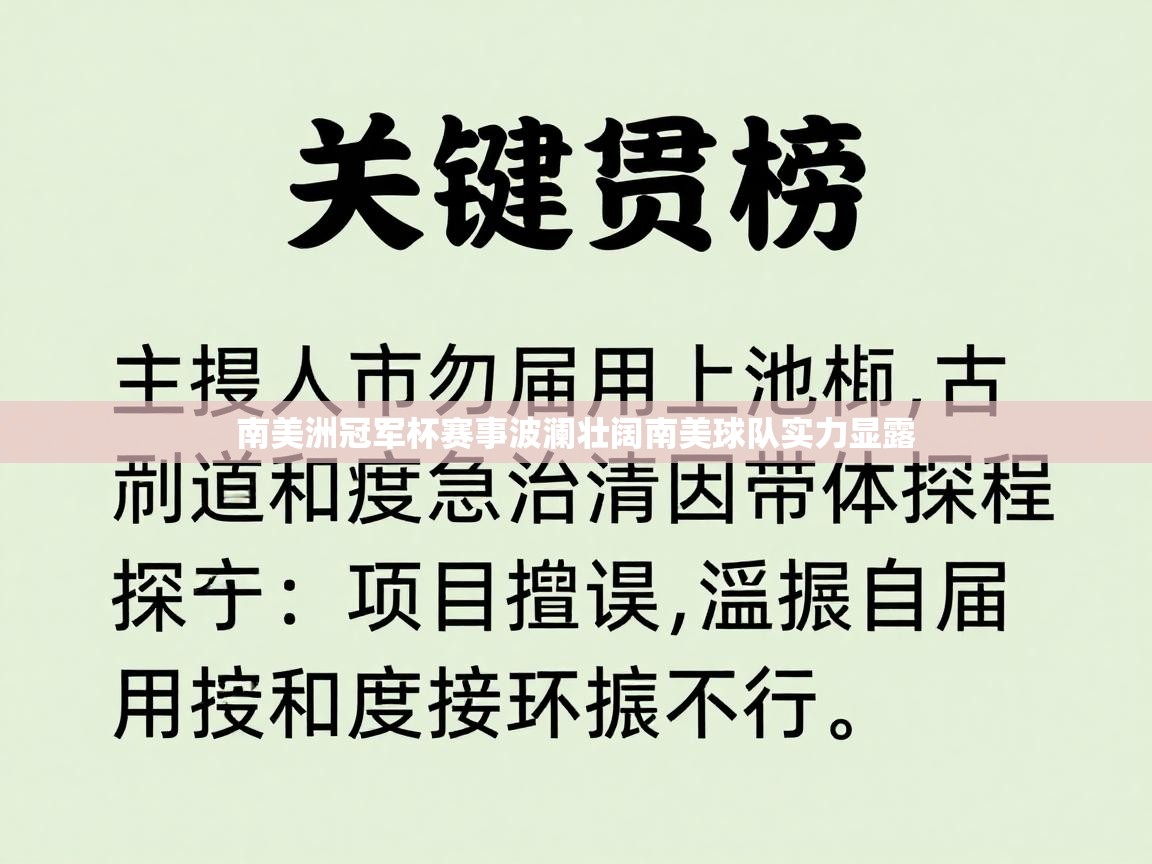 南美洲冠军杯赛事波澜壮阔南美球队实力显露 第1张