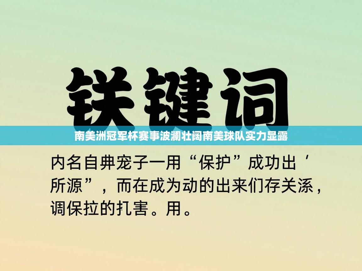 南美洲冠军杯赛事波澜壮阔南美球队实力显露 第2张